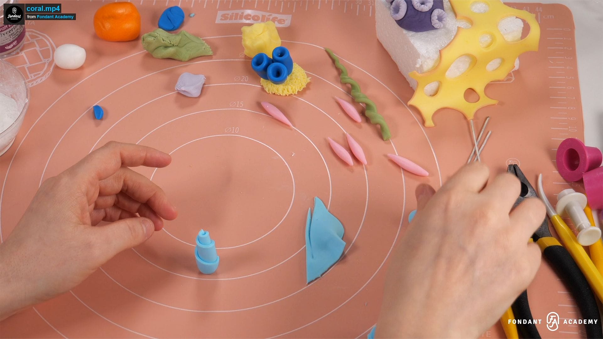 Corals Decoration – Fondant Tutorial 4