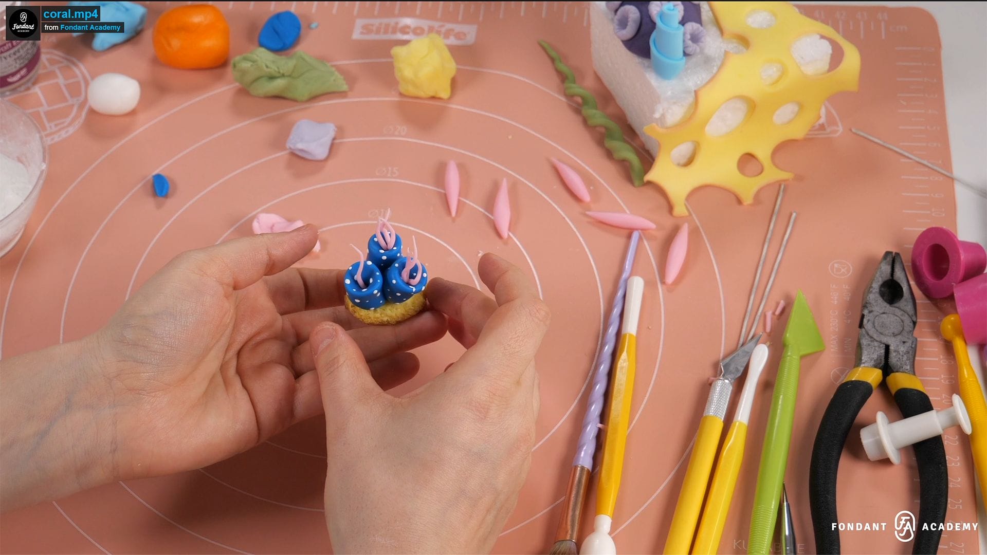 Corals Decoration – Fondant Tutorial 5