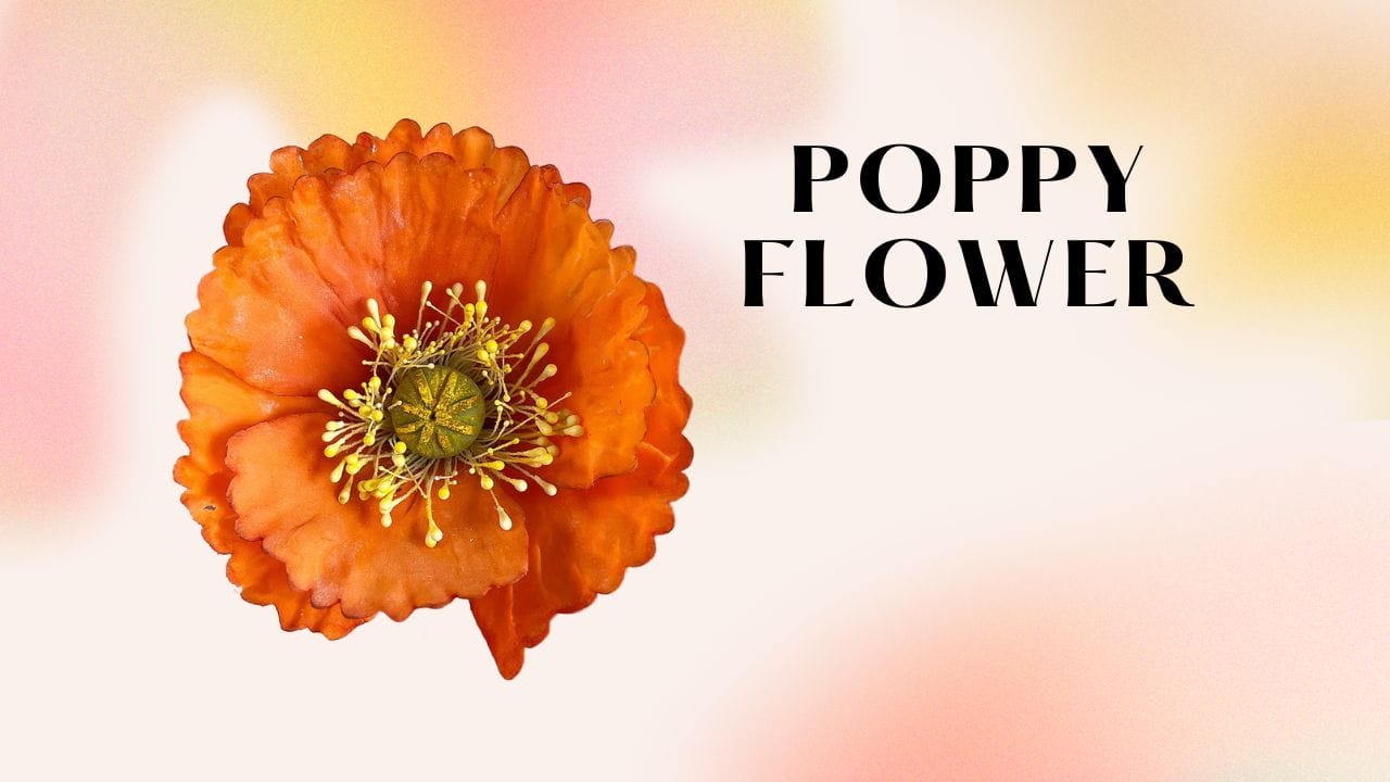 [VIDEO TUTORIAL] Poppy Flower Made From Sugar Paste Fondant Academy