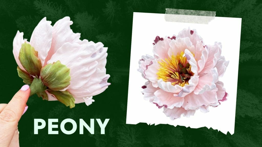 Two images of a pale pink peony flower against a green background, with the word "PEONY" written below in large white letters. Learn how to create this beauty with our Sugar Paste Peony video tutorial.