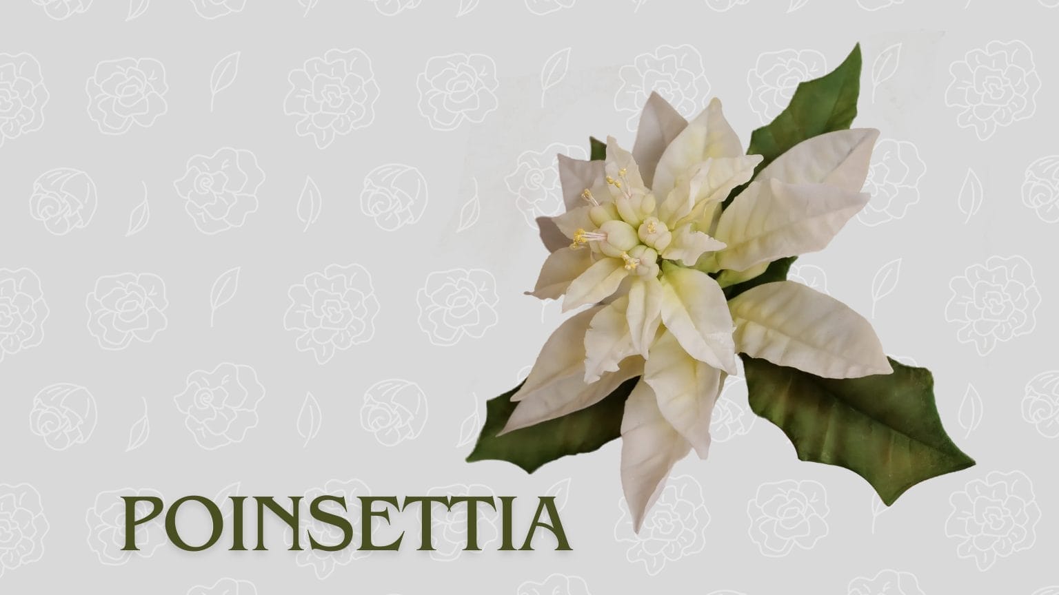 A white poinsettia flower with the word poinsettia on it, made of sugar paste.